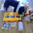 반했다 너한테 이미지