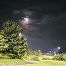 윤골프아카데미 | 8월 드림골프아카데미 정기라운딩 후기