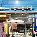 더블라썸플라워샵 | 인덕원꽃집 더블라썸플라워샵 금전수 돈나무 탁상용화분 후기