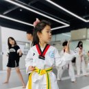 일여혼태권도장 이미지