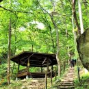 오서산자연휴양림 이미지