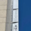 박미자헤어 | [결혼일기_59] 본느마리에 드레스 투어 후기!(최종픽♥)