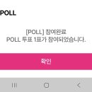 아이돌차트 POLL 투표 인증 이미지