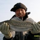 물쌍거리 Daum카페