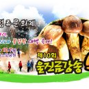 (주)금강송 이미지