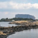 오조리-7 이미지