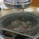 갈매기나라 - 강서구 곰달래로 140 | 갈매기나라