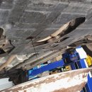 애니카랜드 공항점 이미지