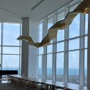 강릉 씨마크호텔 디럭스 트윈 후기 (조식 석식 뷔페/수영장)