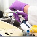 크라운 행정사 이미지