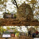 명궁산신 | 황금산(20.11. 1) 추억을 찾아서