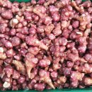 꿈돼지2농장 이미지