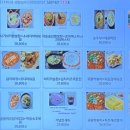 콩노래타운