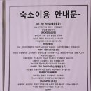 stay-494-43 이미지