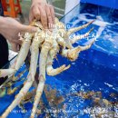 서해로 | 대전 노은 수산시장 킹크랩 맛집 서해수산 후기