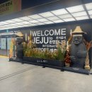 P-5J03 | J인줄 알았지만 결국 P였던 4박 5일 제주 자유여행 일정 추천