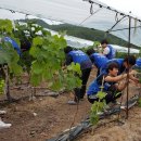 창조산업연구소