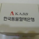 압구정메이트동물병원 이미지