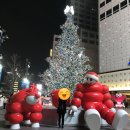 커브스 신장클럽 | 커브스 내돈내산 후기 ,, 💜