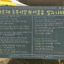 마르쉐 농부시장 서울숲 후기 | 라인업, 먹거리 추천 (솔직후기)