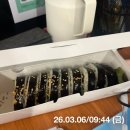 하하한의원 | 로하셀 한의원 뺄타임 미미탕 4주차 / 내돈내산 리얼후기