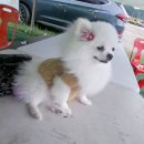 마장3리 이미지