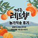 강희농장 | 제주 레드향 농가직송 후기 귤플러스에서 먹어본 진짜 제철 레드향 이야기