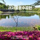 서서울호수동물병원 | 서서울호수공원 너구리 러닝코스 주차 목동 가볼만한 곳