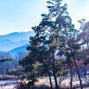 겨울나그네 이미지