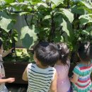 자연사랑어린이집 이미지