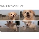 트루쌤 과학 | 사(계절)월이 지나가는 중