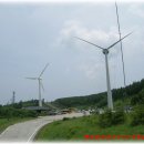 슈퍼바우 이미지