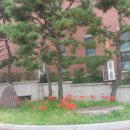 주암민박 이미지