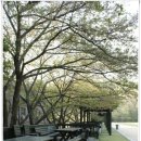 인재개발원(18) 이미지