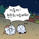 송촌생활체육공원(3) | 천천히 갔으면 하는 10월이야!! 🤩