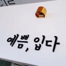 예쁨;입다 이미지
