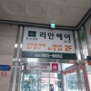 아르보헤어 이미지