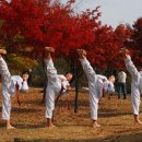 꿈나무태권도장 이미지