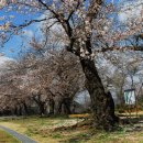 덕치초등학교 이미지