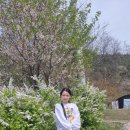 샛별365약국 이미지