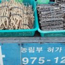 강원생약 이미지