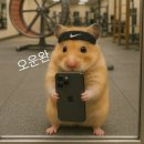 정문 앞 휴먼빌아파트 101동 쪽 | 양천향교역 PT 피티그라운드에서 1:1 PT 받아본 후기