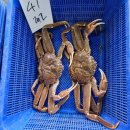 대일수산 이미지