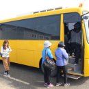 김태희의팜스쿠키 이미지