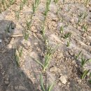 태양마을 이미지