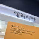 종로 가성비 웨딩밴드 추천 투어 엘리시아주얼리 내돈내산 후기