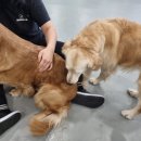 멍품유치원 이미지