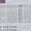 디테일링스토리 이미지