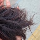 부여양화우체국 1층 | 망원동 미용실 에이바헤어 망원역점 RC2 모발클리닉 Before &amp; After 후기