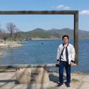 느티나무공인중개사사무소 이미지